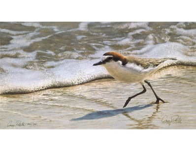 Art Market (A986) - Lot 4111