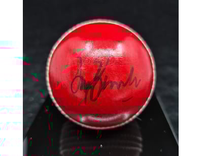 SINGLE VENDOR LIFETIME COLLECTION (A1001) - Lot 937