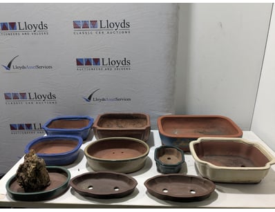 Sport, Leisure & Lifestyle (NSWA999) - Lot 2682