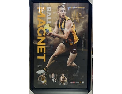 Mancave & Memorabilia (A1005) - Lot 204