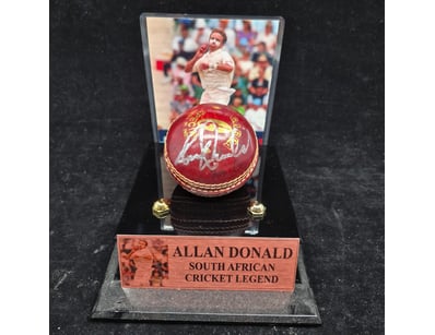 SINGLE VENDOR LIFETIME COLLECTION (A1001) - Lot 904