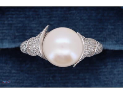 SOUTH SEA PEARL RING ON 925 SILVER - WITH CERTIFIC...