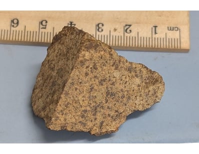 The Curio Collection (A991) - Lot 518