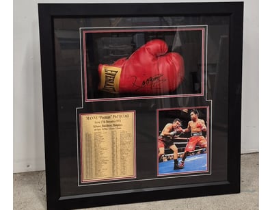 SINGLE VENDOR LIFETIME COLLECTION (A1001) - Lot 816