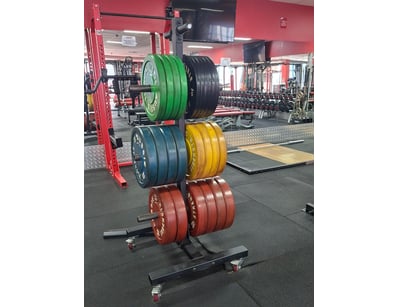 Gym Equipment Liquidation (ON11749) - Lot 32