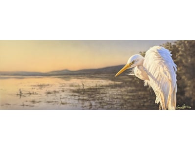 Art Market (A986) - Lot 4107