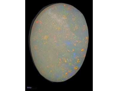 3.5 CARATS LIGHTNING RIDGE LIGHT OPAL PRE FACED  R...