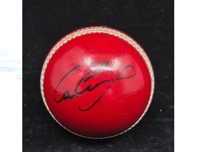 SINGLE VENDOR LIFETIME COLLECTION (A1001) - Lot 950