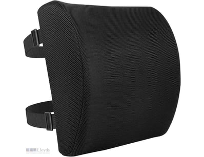 Basics Memory Foam Back Support Cushion for Office...