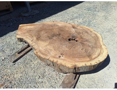 Hardwood Timber Slabs (ON4481) - Lot 26