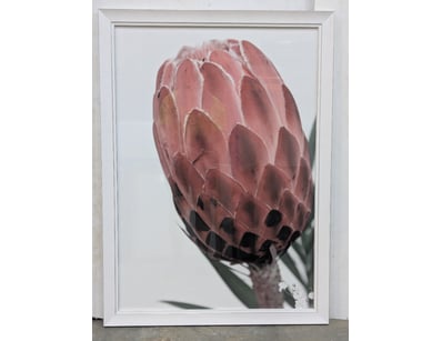 House & Homewares (A985) - Lot 841