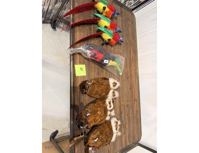 Props - Birds - Assorted
- Owl x 3x
- Parrot x 3
-...