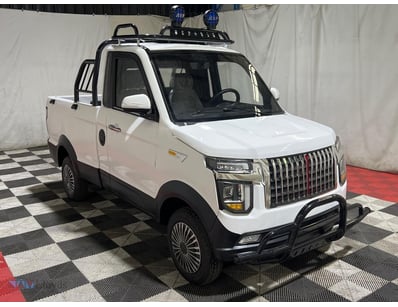 <b>2023 Piglet Truck - White - 0km - Electric Sing...