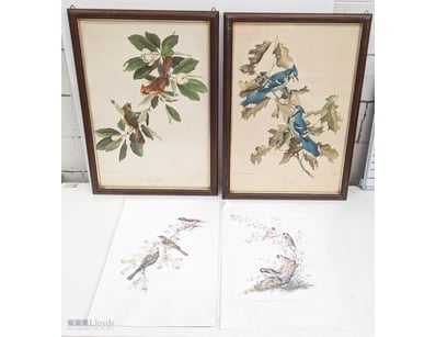 COLLECTION OF ORNITHOLOGICAL HAND-COLOURED ENGRAVI...