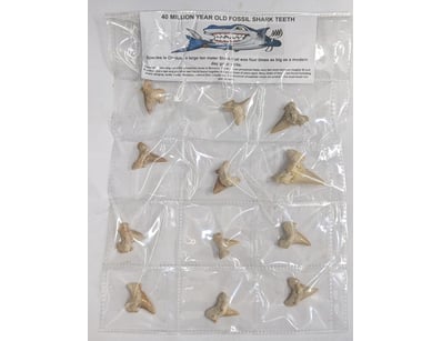 Antiques, Vintage & Interior Treasures (A1006) - Lot 9025