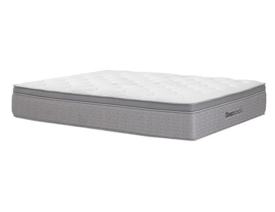 Sporting Gear, Home & Decor (WAA980) - Lot 24