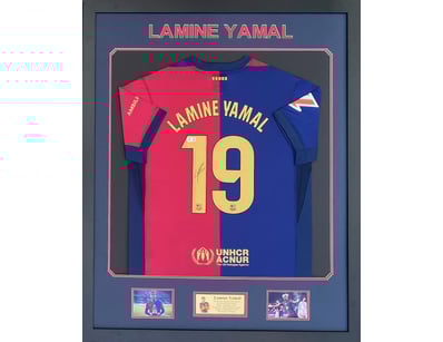 Mancave & Memorabilia (A979) - Lot 501