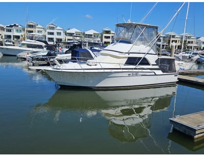1987 Bertram 37 flybridge (Location - Coomera Wate...