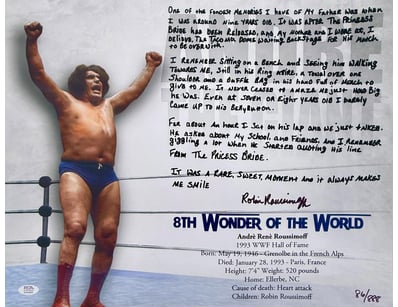 Mancave & Memorabilia (A1003) - Lot 620