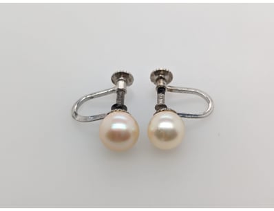 SILVER AND PEARL EARRINGS


583010+139


