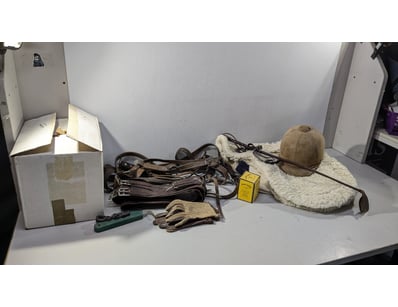 SA Public Trustee Home & Collectables Clearanc... - Lot 4367