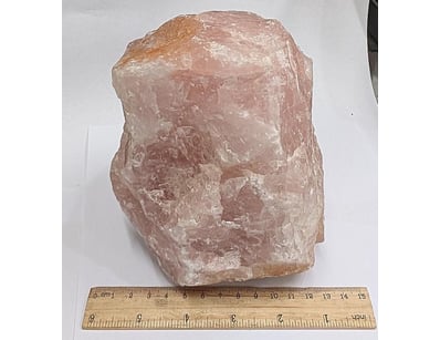 The Curio Collection (A999) - Lot 558