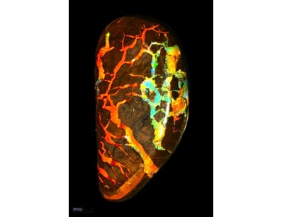 72.6 CARATS VERY DENSE KOROIT BOULDER OPAL   

Dim...