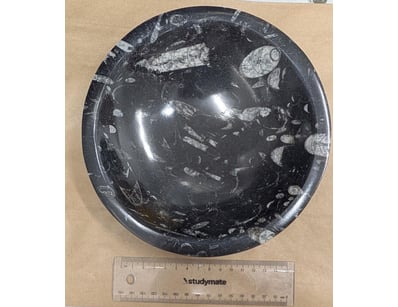 The Curio Collection (A985) - Lot 1117