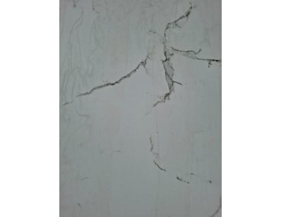 $3M Major Building Supplier - Decorative Walls &... - Lot 46