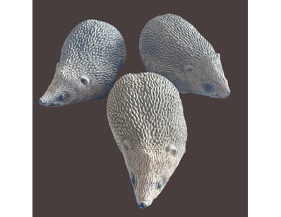 Antiques, Vintage & Interior Treasures (A1006) - Lot 1105