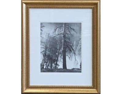 Art Market (A978) - Lot 5024