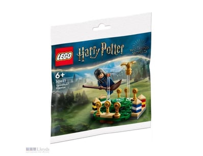 Harry Potter Quidditch™ Practice Set #30651