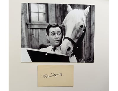 Mancave & Memorabilia (A995) - Lot 665