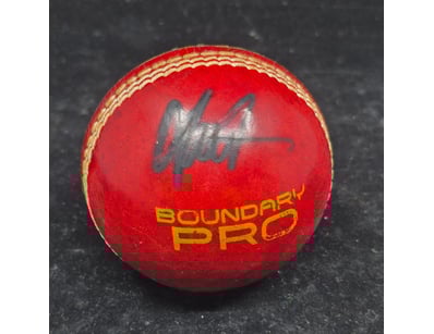 SINGLE VENDOR LIFETIME COLLECTION (A1001) - Lot 932