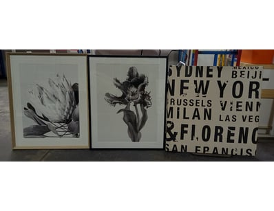 House & Homewares (SA1001) - Lot 4163