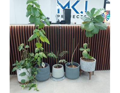 Commercial Builder Warehouse Liquidation (ON12105) - Lot 131