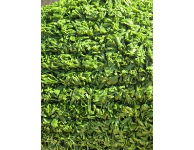 Artificial Turf Clearance (A1004) - Lot 32