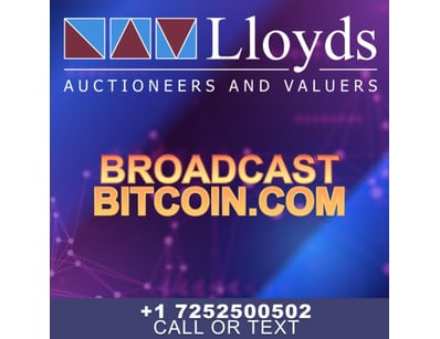 Historic Domain Auction: Bitcoin Portfolio + Ic... - Lot 114
