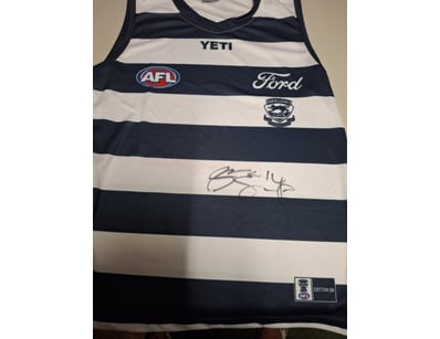 JOEL SELWWOD SIGNED GEELONG CATS GUERNSEY

Joel Se...