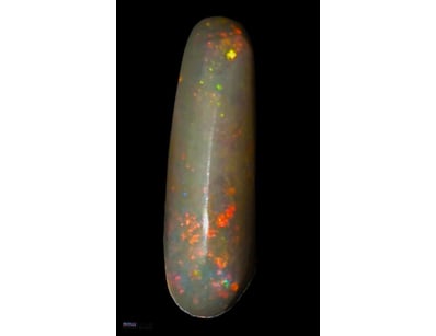 3.9 CARATS PENDANT CUT HIGH DOMED DARK OPAL FROM L...