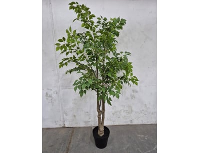 Quality Designer Furniture & Decor Clearance (A... - Lot 619