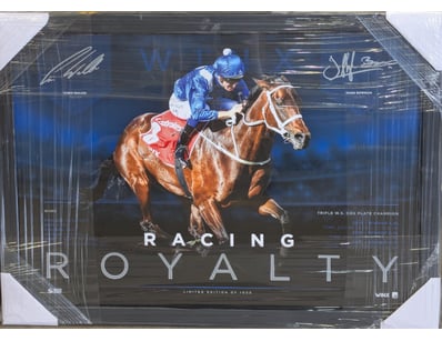 Mancave & Memorabilia (A1005) - Lot 216