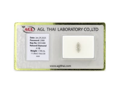 International Diamond And Gemstone Dealers Cle... - Lot 1006
