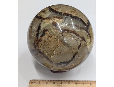 The Curio Collection (A991) - Lot 510