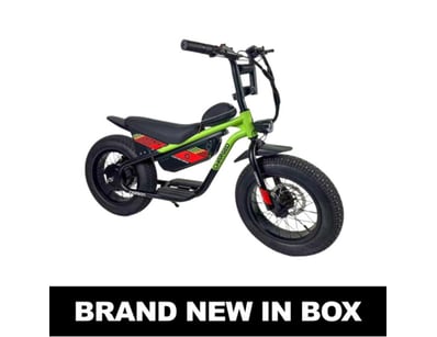 Major E-Mobility Liquidation (ON11995) - Lot 32