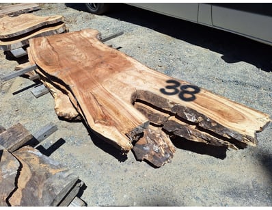Hardwood Timber Slabs (ON4481) - Lot 39