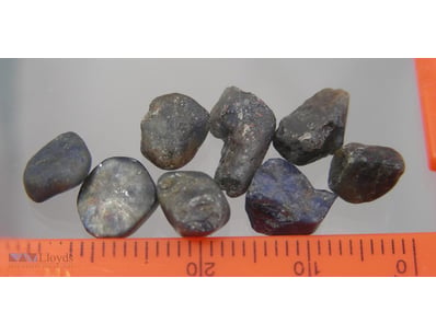 20CT NATURAL ROUGH NSW SAPPHIRES       

 


 

 
...