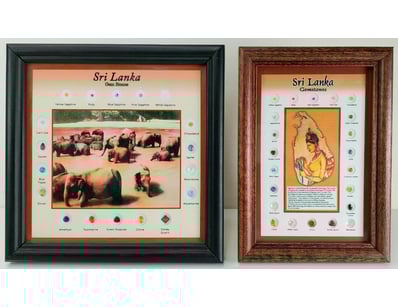 The Curio Collection (A982) - Lot 516