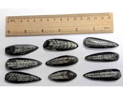 Antiques, Vintage & Interior Treasures (A1006) - Lot 8011