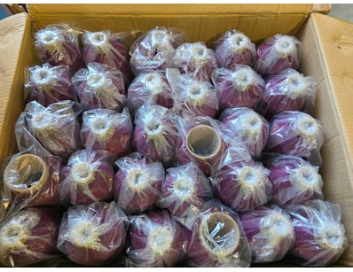 30Pcs 100% Nylon Yarn - Burgundy

Sold as lot
...
